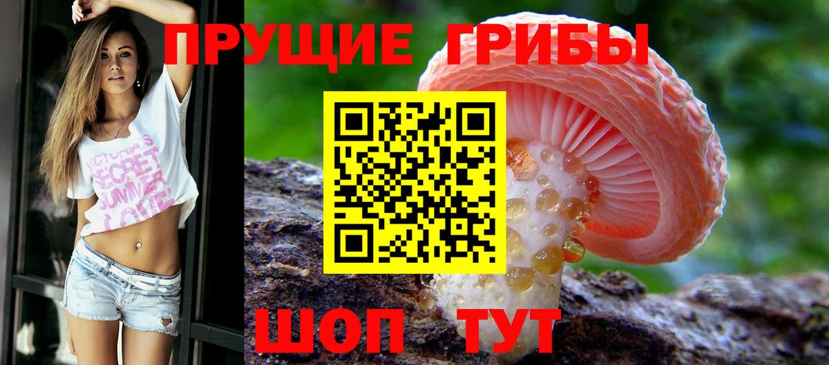 Нефтекумск  Псилоцибиновые грибы Cubensis  Вход с VPN 